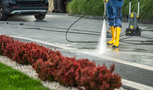 Best Fence Cleaning  in Genola, UT