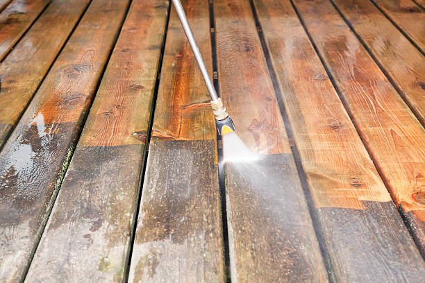 Best Roof Washing  in Genola, UT